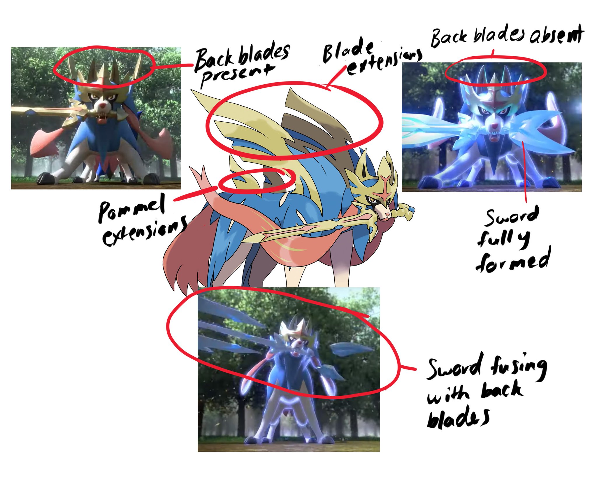 D8kRgqNWkAAs6f8.jpg:large