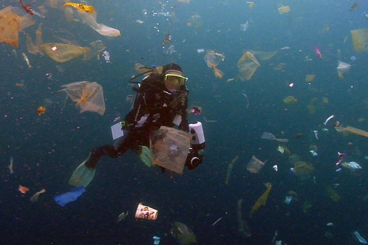 Plastic Plague