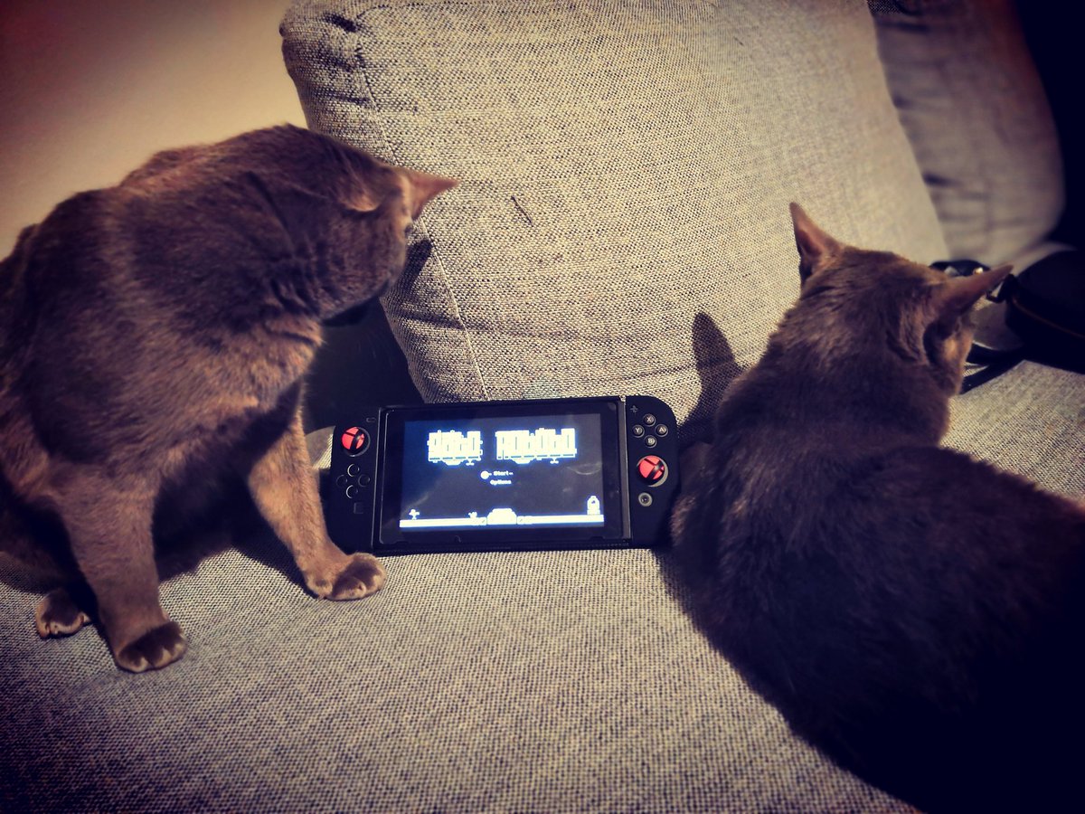 Just bought Gato roboto, in company of my 2 Gatos 🐱 <a href="/doinksoft/">doinksoft</a> <a href="/devolverdigital/">Devolver Digital</a>