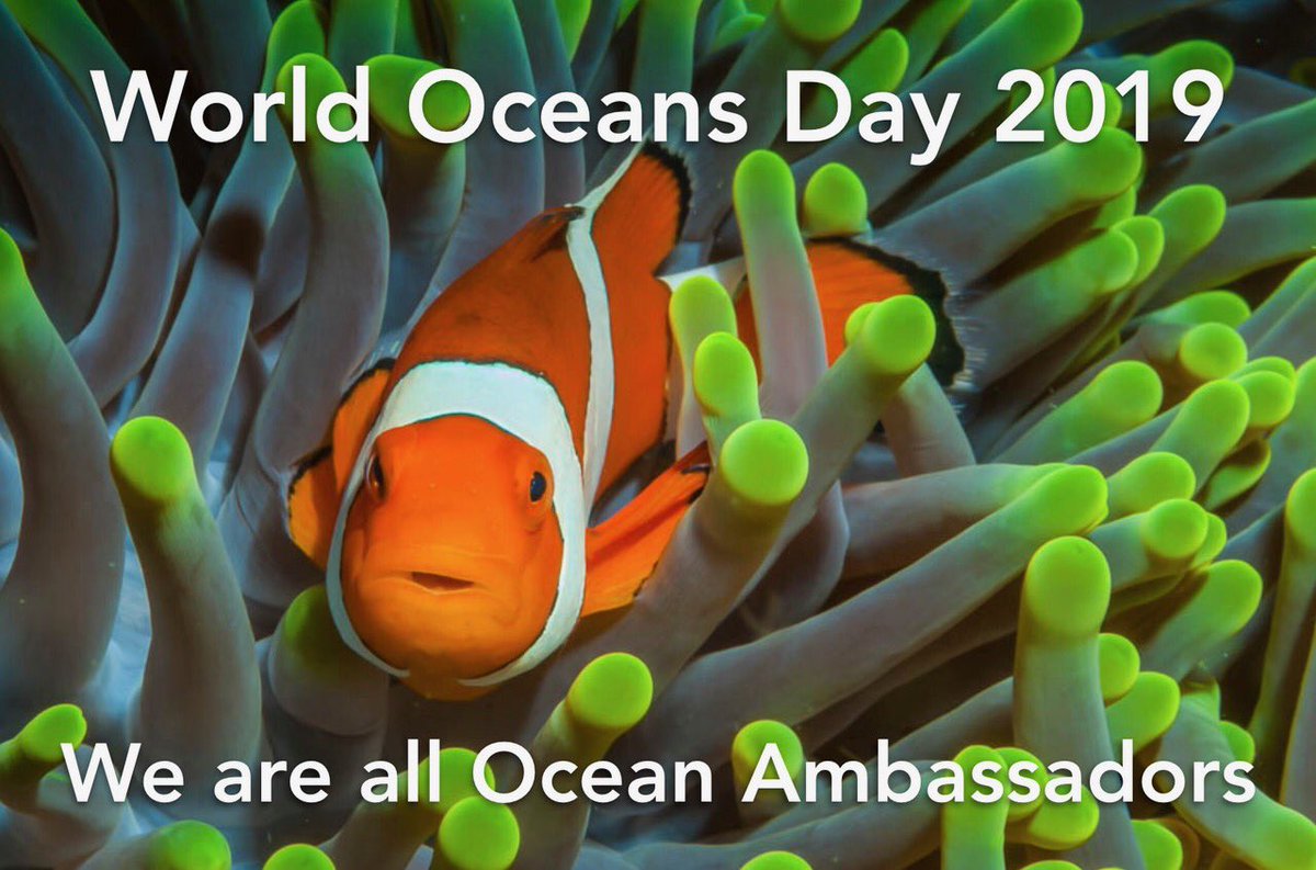 jettbritnell's tweet photo. On World Oceans Day 2019, choose to be an Ocean Ambassador.
#worldoceansday2019 #worldoceansday #protectwhatyoulove #oceanambassador @the_explorers_club @rcgs_sgrc @rgs_ibg #explorerscanada #oceans #conservation #climateemergency #marineconservation https://t.co/fi4igSz7EG
