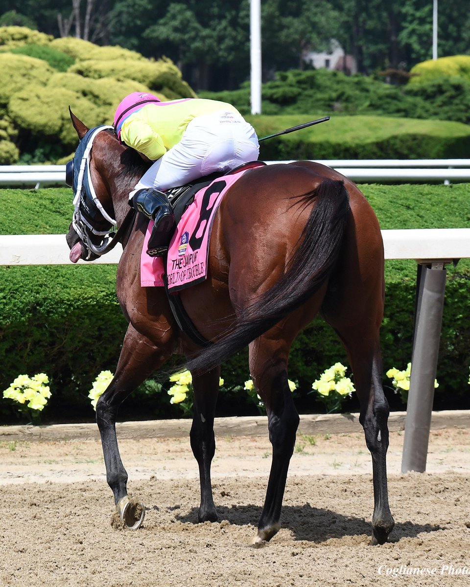 World of Trouble is much the best in the Grade I Jaipur Invitational today at Belmont.