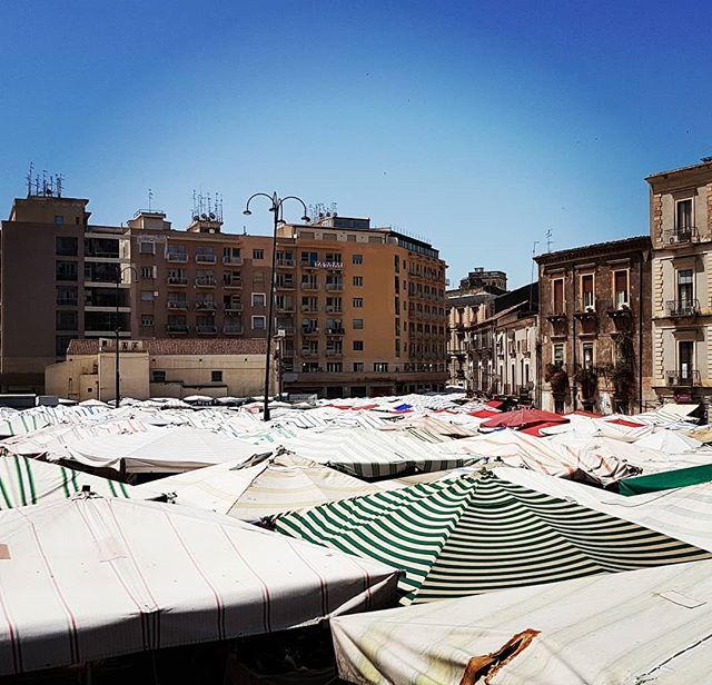 tusguiasdeviaje's tweet photo. La Fiera di Catania...quien no la conozca debe venir a ver este espectáculo! 😍
#lafiera #catania #mercadillo #feria #sicilia #sicily #stesicoro #viajes #tusguiasdeviaje #viajes https://t.co/peUQxqc8k7