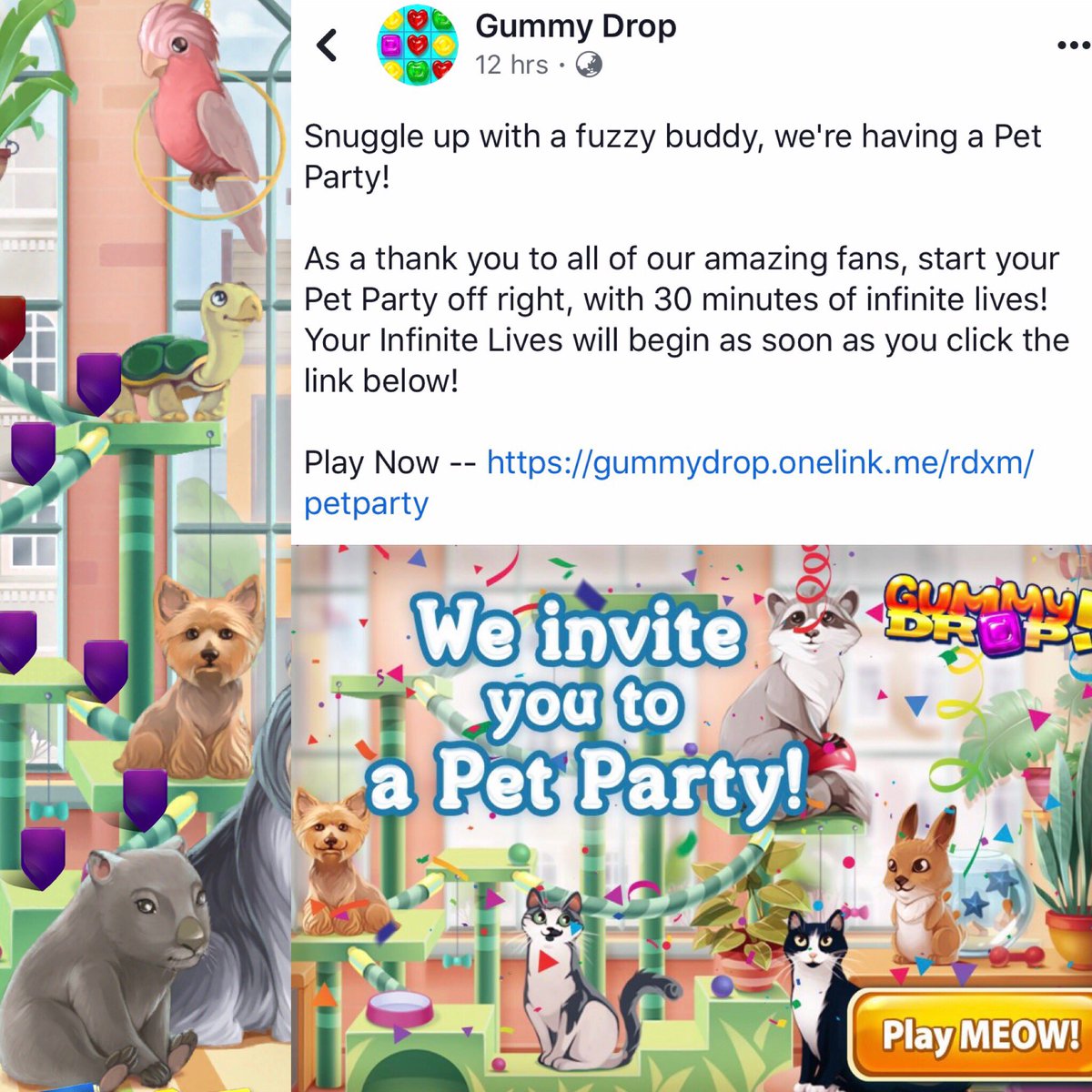 Puddles_Co's tweet photo. #Mochi #wombat is now a star in #gummydrop . How very cute thank you Gummy drop.
#puddlesandco #gummydropgame @gummydropgame https://t.co/r4ktsworGO