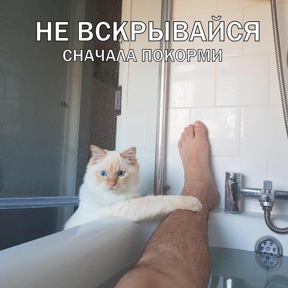 D8kYke0WsAQPYzm?format=jpg&name=medium