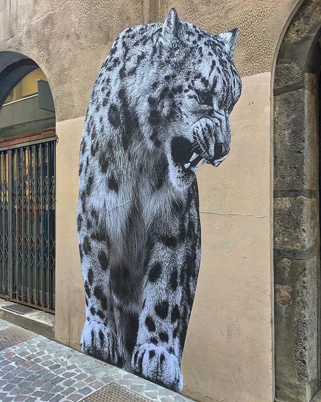 🐆 Panthère : by @sophie.photographe 🐆.
#grenoble #safga2019 #grenoblestreetart #igersgrenoblestreetart #igersgrenoble #grenoblestreetartfest #grenobletourism #mygrenoble #isere #iseretourisme #auvergnerhonealpes #instadaily #urbanart #wallart #iphone… bit.ly/31mz3M2