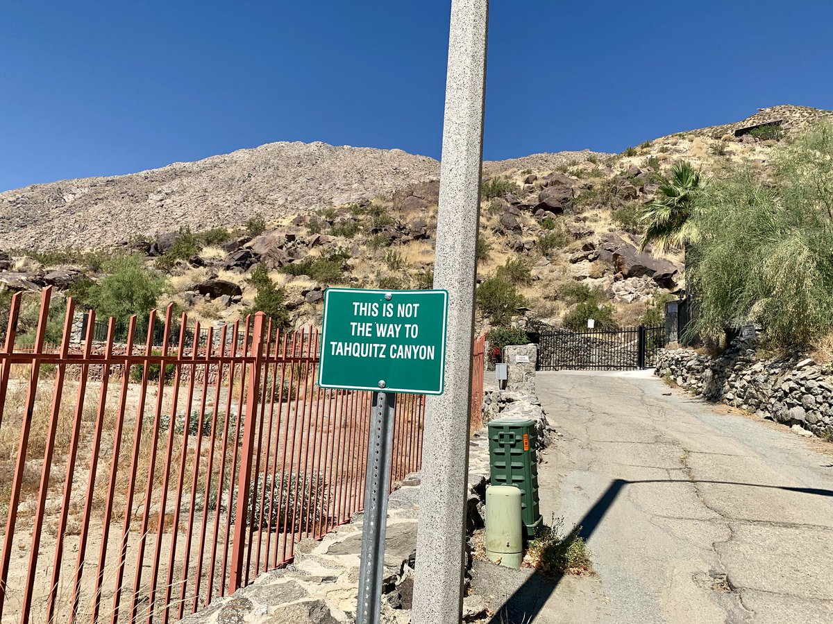 Max Scheideman tweet media