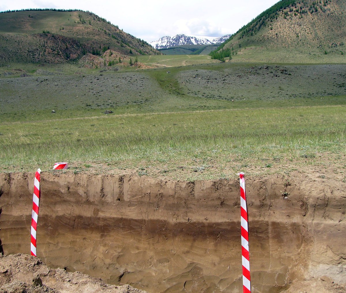 Buried soil (age approx. 3000 kyr) in the highlands of Russian Altai.

#paleopedology #paleosol #AncientLandscape #IUSS