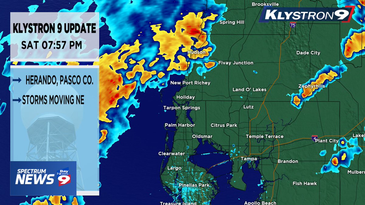 Hernando JUST IN Hernando, Pinellas, Hillsborough and Manatee County