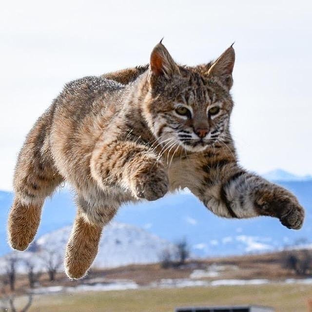 Coach Matt Christensen tweet media