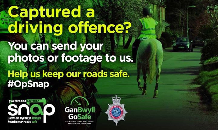 Teri-Ann Parry (@bubachparry) on Twitter photo 