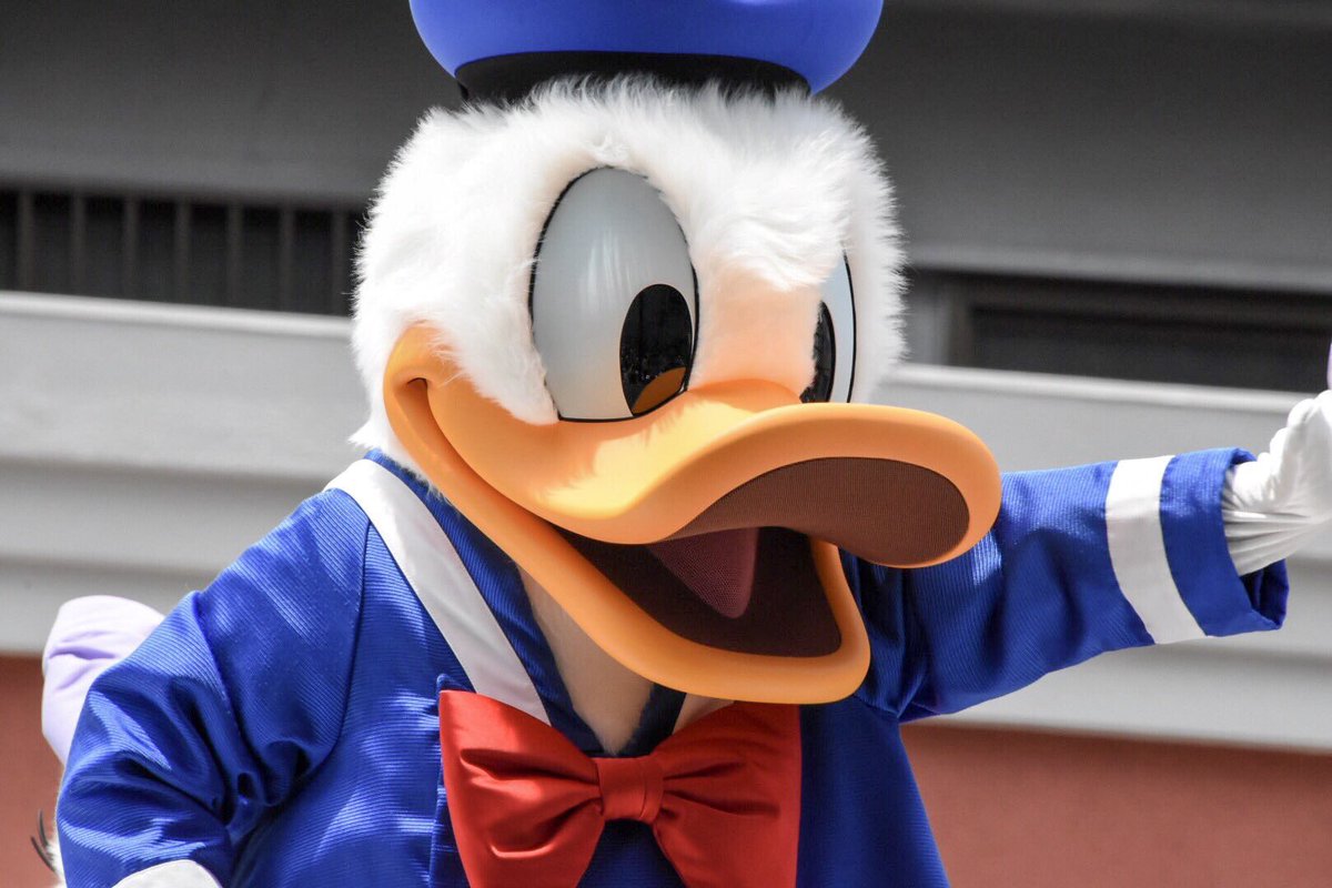 ドナルドダック誕生祭 Twitter Search ドナルドダック誕生祭 Twitter Search