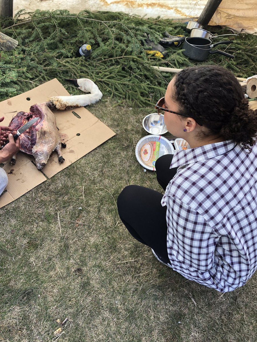 MichaelRobidoux's tweet photo. Without a doubt, the best part of our job as Professors is being able to provide students with enriching experiences. So proud of University of Ottawa student Celeste Ferreira working with the Moose Cree First Nation on their local food initiatives. https://t.co/BW74CW1fu8