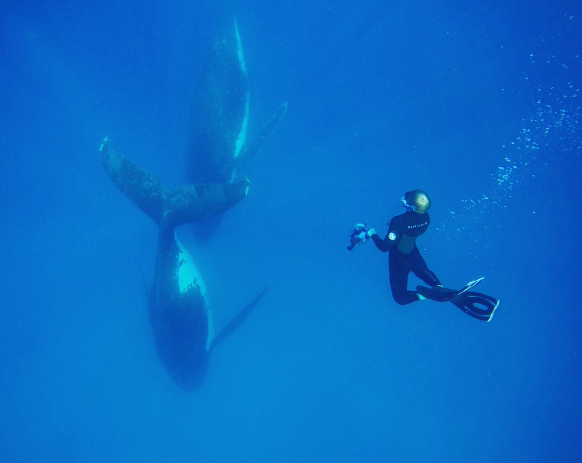 RobertIrwin's tweet image. Today is #WorldOceansDay 🐋🌎 The ocean is the lifeblood of our planet Earth, however with pressure from pollution and climate change, our aquatic environment is having a tough time. It is so important to keep our oceans, the world’s most vital ecosystem, alive and thriving...
