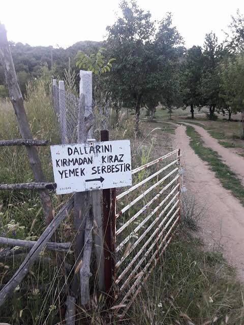 JosefislamCom's tweet photo. Ne kadar meraklısınız batıya hayran olmaya. 
Görmezsiniz tabi kendi insanlarımızı! https://t.co/dIsO7jv34O