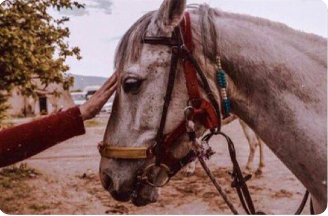 “ Bir kitapta okumuştum: Her şey yoluna girmeden önce en kötüsü olmak zorundadır “