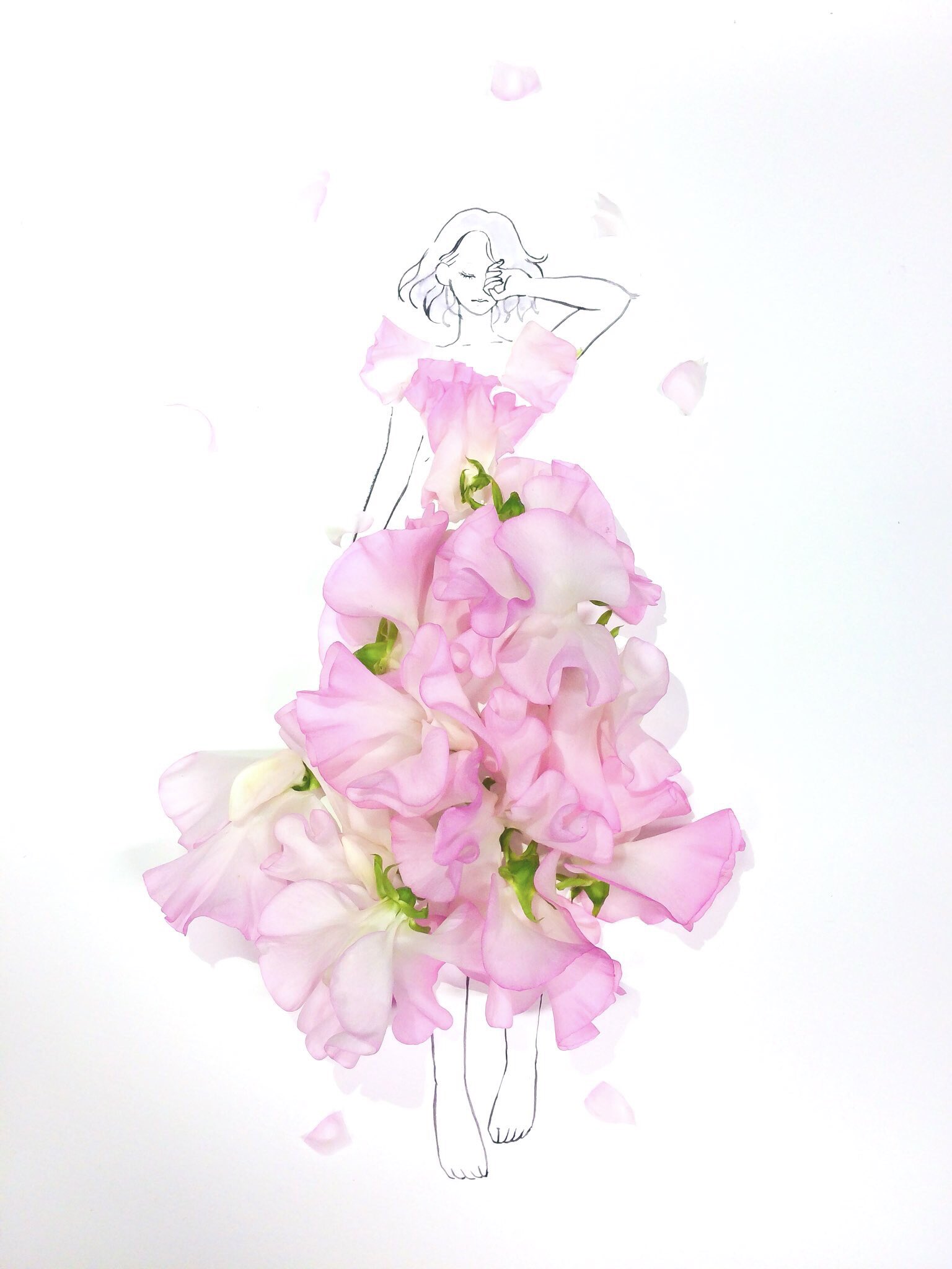 はな言葉 新刊出ました きょう6月9日は ロックの日 ロックウールの日 たまごの日 勾玉の日 無垢の日 ドナルドダックの誕生日 我が家のカギを見直すロックの日 誕生花はスイートピー 花言葉 思い出 門出