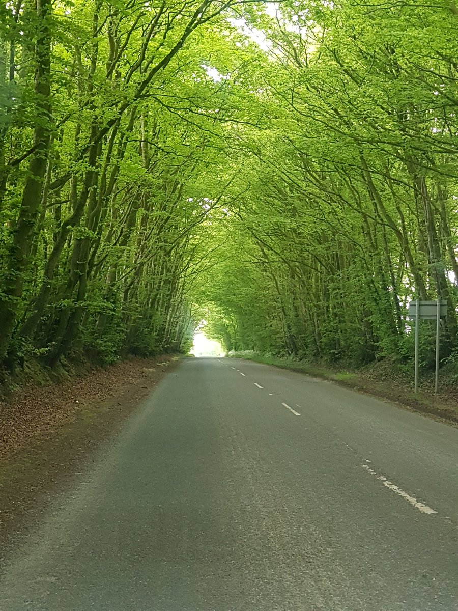 gingerfleming's tweet image. 