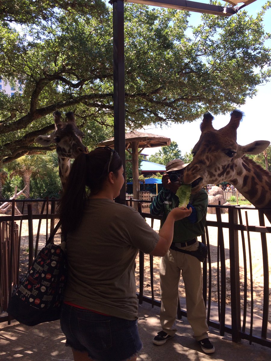 Monica89130870's tweet photo. Science training at the zoo! Always a team!!#scienceisfun #holmsley #team 
@joanne_gillock 
@AnaDiaz_I17 
@mrsparinello https://t.co/OvIkf0KL1d