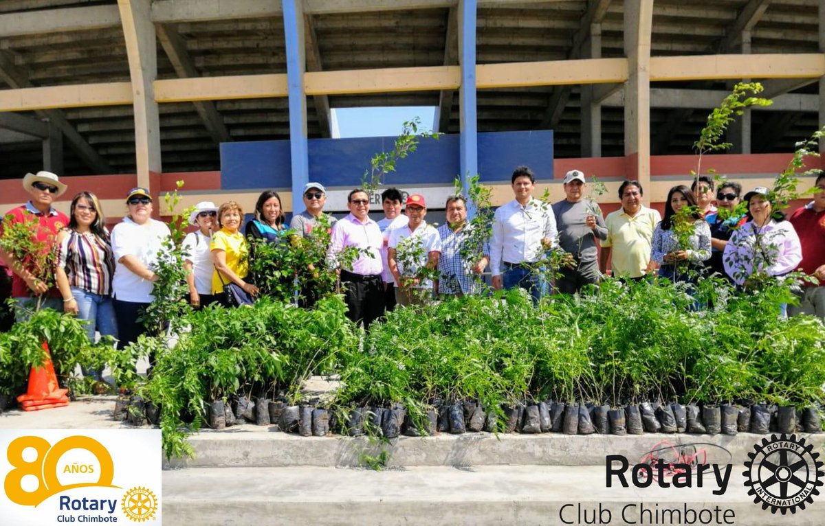 RotaryChimbote's tweet photo. Hoy entregamos 2.000 árboles de un total de 20.000 en el año 2019, en lanzamiento de la arborización masiva con el Proyecto @Rotary de Arborización "Sembrando Vida" y el convenio de colaboración mutua con la Municipalidad Provincial del Santa. @RotaryChimbote @Rotary4465 https://t.co/Jt3dHAmXcw