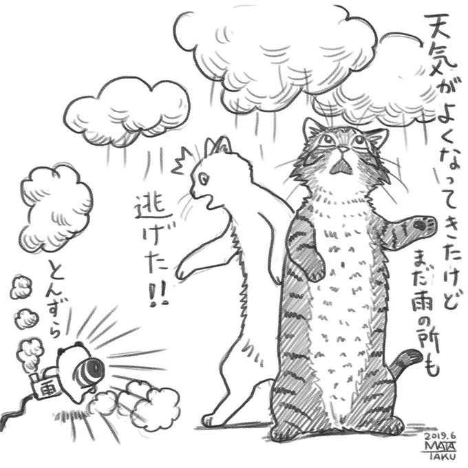 6月9日

最低気温   9.6℃
7:30現在  16.9℃
予想最高気温  24℃
天気は 晴れ 夜くもり 所により昼前まで霧

弘前市

全国の天気はこちら
https://t.co/gaQD8Dfny0 