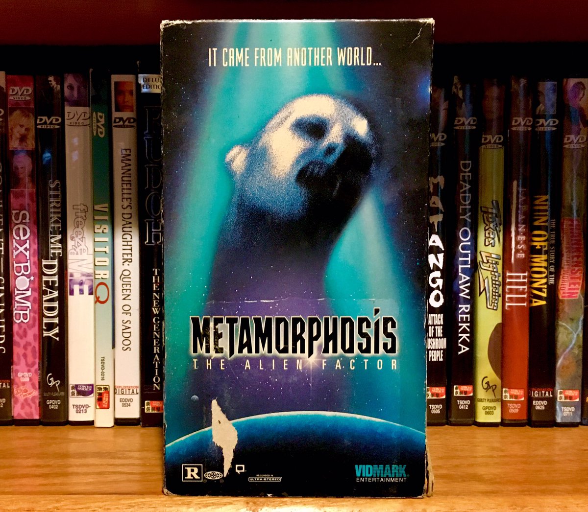 CinemaArcana's tweet photo. METAMORPHOSIS: THE ALIEN FACTOR
(Glenn Takajian, 1990)
Vidmark Entertainment
#VHSaturday #VHS #metamorphosisthealienfactor #thedeadlyspawnII #glenntakajian #tedabohus #mattkulis #patrickbarnes #taraleigh #diannaflaherty #vincentjguastini #vidmarkentertainment #vhscu https://t.co/VEPSfSMadE
