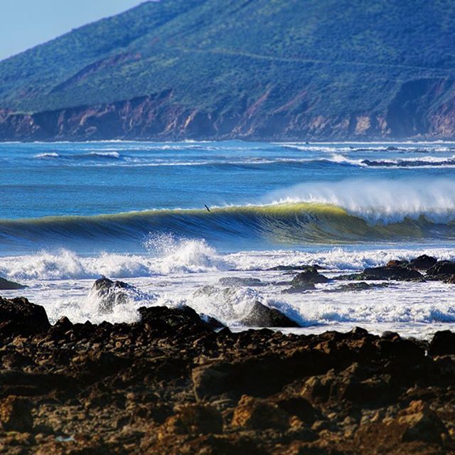 Quintessential #california beauty...💙 #worldoceansday #respect #reducereuserecycle #coastalseries #canon #oceanart #805SEA | 📷 @montecrofts