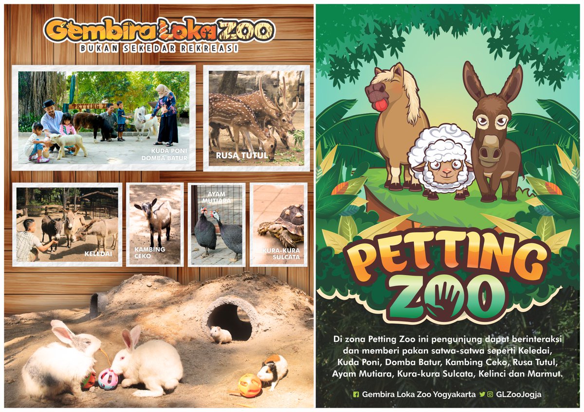 Petting Zone, zona pengunjung dapat berinteraksi dengan satwa jinak Gembira Loka