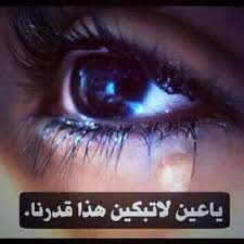 سحابة امل 🌺🇸🇦 tweet media