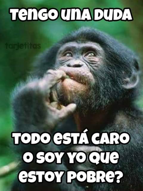 PELON (@pelon_73) on Twitter photo 