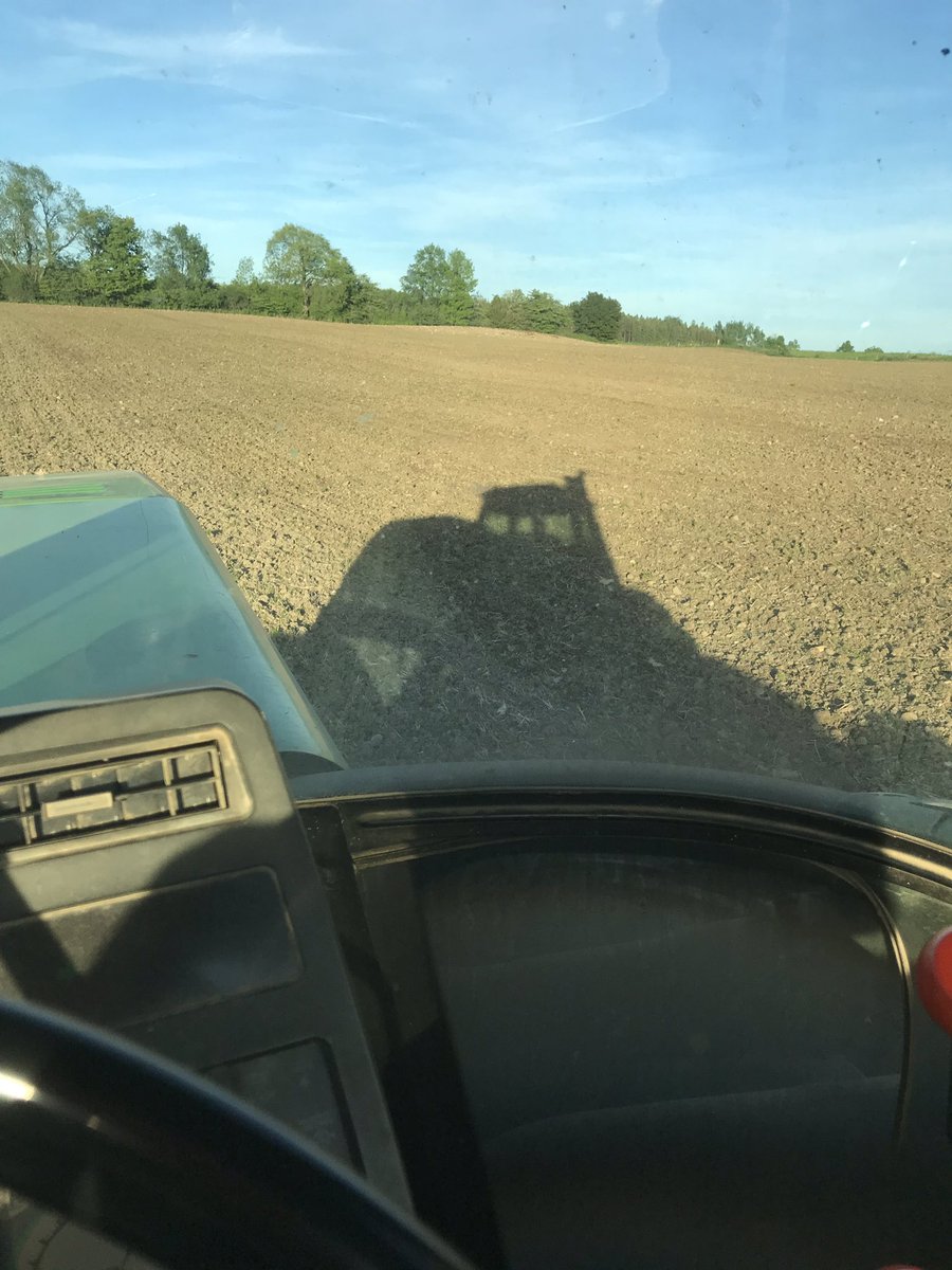#shadowchasing #homestretch #Plant19