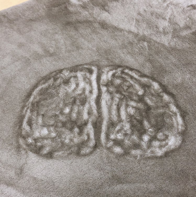 「ニトリのカーペットで脳みそを書いた時の写真です。 」|shigemiのイラスト