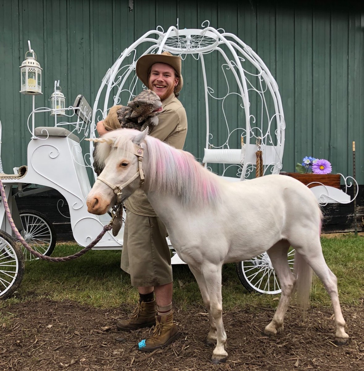 Byksickle's tweet photo. Annie the Ankylosaur and I met a unicorn today! https://t.co/GPK1eRbs1L