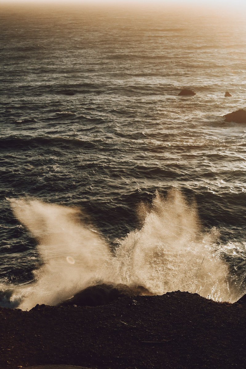 San Frickincisco, CA