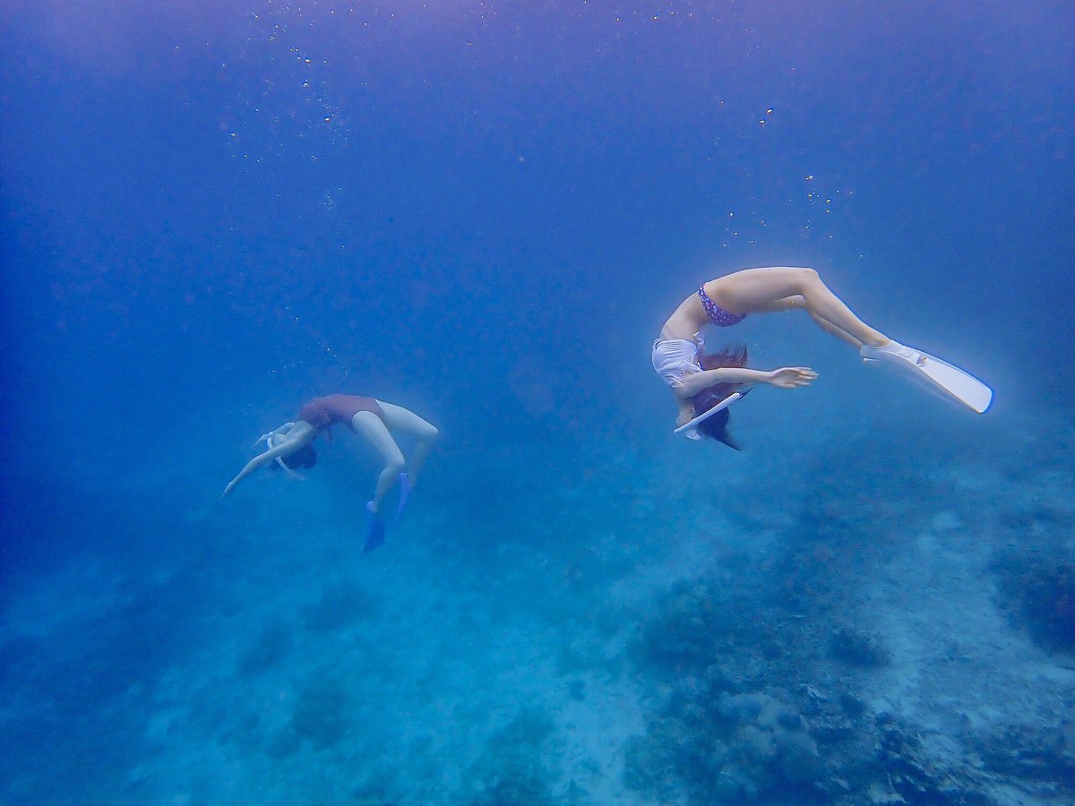 Appi🌈 tweet media