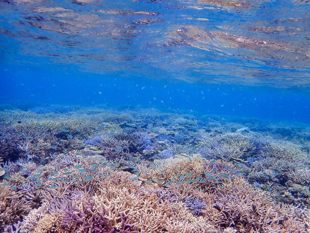 Appi🌈 tweet media