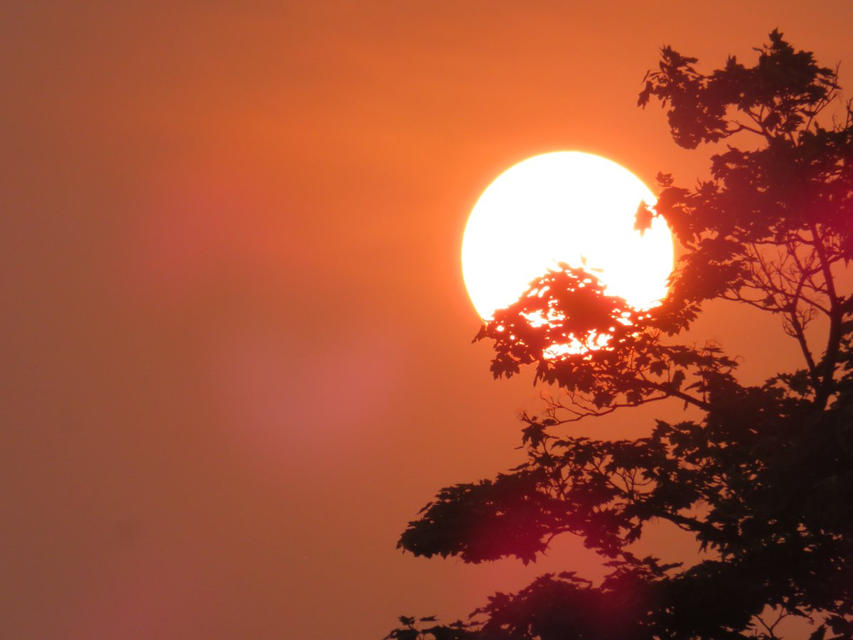 PLKlein_Author's tweet photo. "Greatness comes from being a like long learner." ~ #JerryAcuff #QuickQuotes #ThinkBIGSundayWithMarsha #ThinkingOutLoud #SaturdayThoughts #SaturdayMotivation #Greatness #Learn https://t.co/6ZTSIJETYR