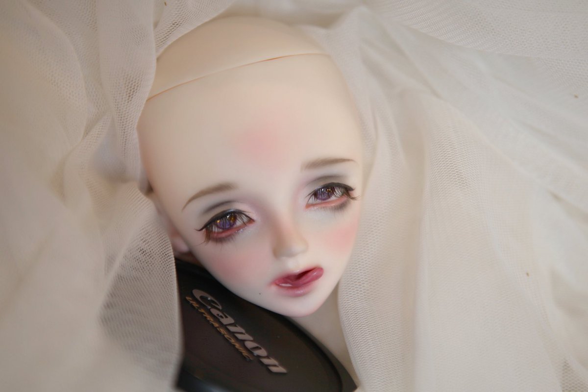 𝕊𝕖𝕒𝕝𝕒𝕟𝕕 on X:  