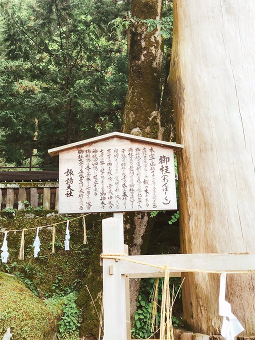 御柱おおきい!! 