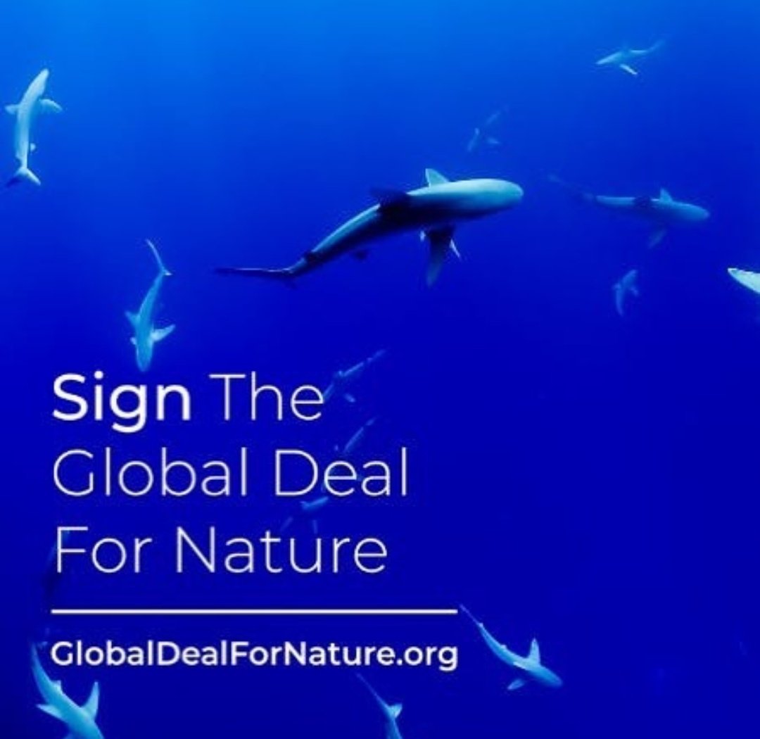 'I just signed the #GlobalDealForNature calling on world leaders to protect half of our lands and seas. Please join me! Sign the petition at GlobalDealForNature.org '

©️#JamesReid IG update