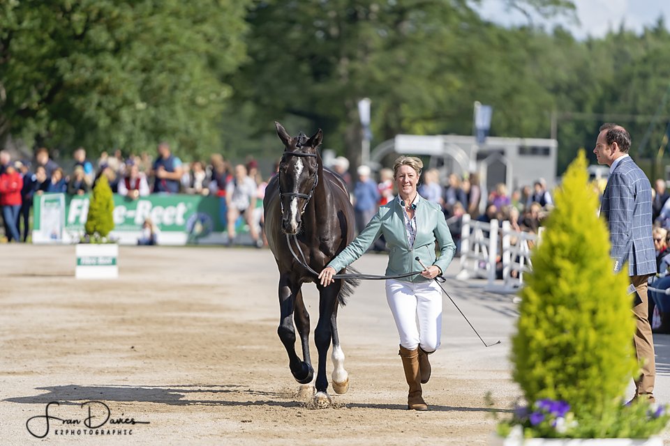 K2Photographic's tweet photo. Nicola Wilson at the Bramham early morning Trotup @NWEventing
 @suregrowuk @BramhamPark #EBHT   #eventing @Bucas_Ireland @Equi_Trek @Veredus1990  @AriatEurope @TopSpec2 @GatehouseHats  @Neueschule @VermXUK @ZebraProducts #BramhamHorseTrials https://t.co/6eh3IogBWp