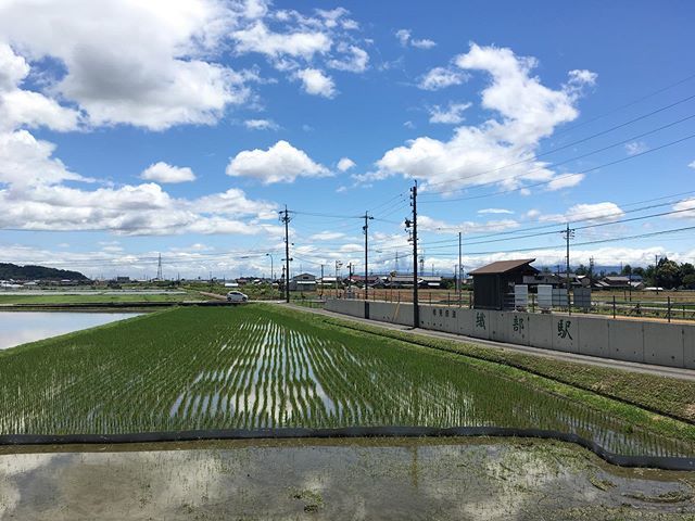 ありをりはべりいまそがり