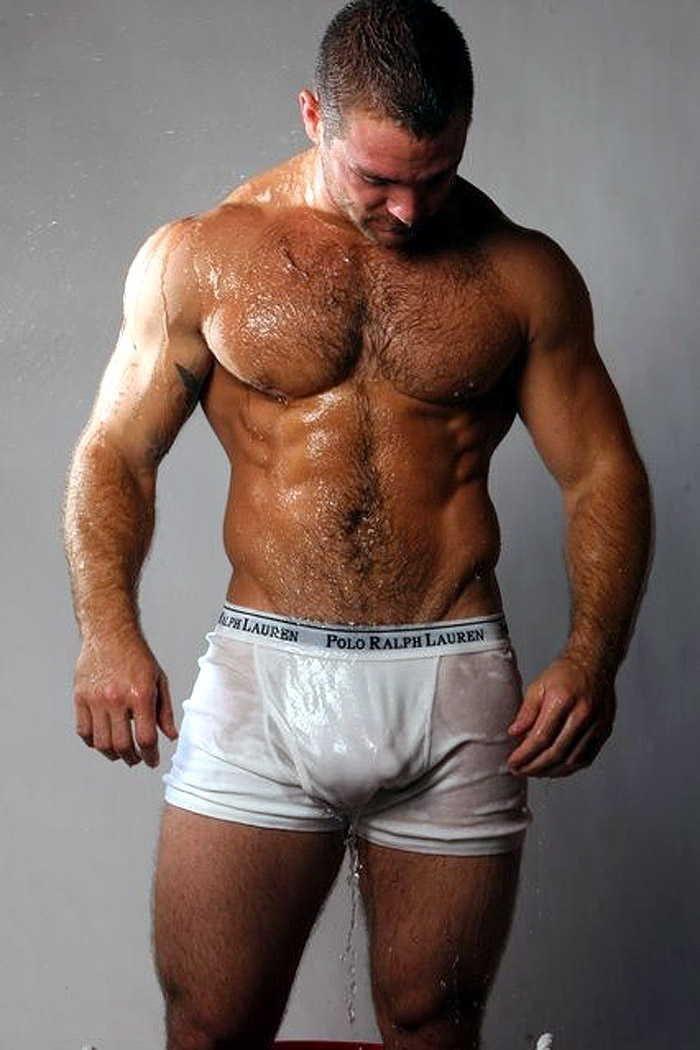 “📸 Muscle Daddy 1573
#Hairy #Underwear #Bulge 

#D...