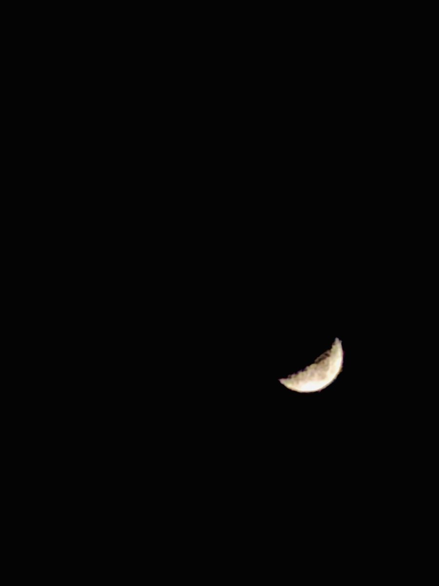 gilbertoyanezg's tweet photo. Esta noche con luna creciente🌙 ⁦@g_sol3⁩ desde San Juan del Río, #Qro ¡Buenas noches! https://t.co/miv77hCcgM