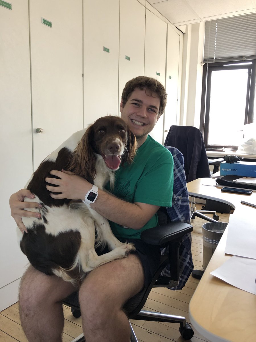 Zensar's tweet photo. Everyone say hello to Oliver, comfortably seated on Maxโs laps. Looks like a fun day at our @Foolproof_UX a Zensar companyโs Norwich office. Is your office pet-friendly? Share your thoughts below.
#happyworkspace #funatwork https://t.co/9H1SK83f9e
