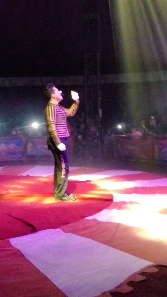 Angelitathecos's tweet photo. Te quiero @CostelOficial https://t.co/Ur695Vjwo9