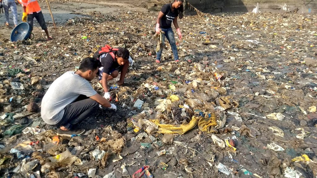 chinukofficial's tweet photo. #BeachCleanup #Week94 #Dadar #CuffParade
We have been cleaning Cuff parade beach since last 22 weeks and now it needs awareness & more hands to help (Pic:3 & 4)
@MCGMswm doing their job well, its time for us citizens to act
Please help @ChaiMIRROR
@AUThackeray @deespeak https://t.co/ZfhCAMNEde