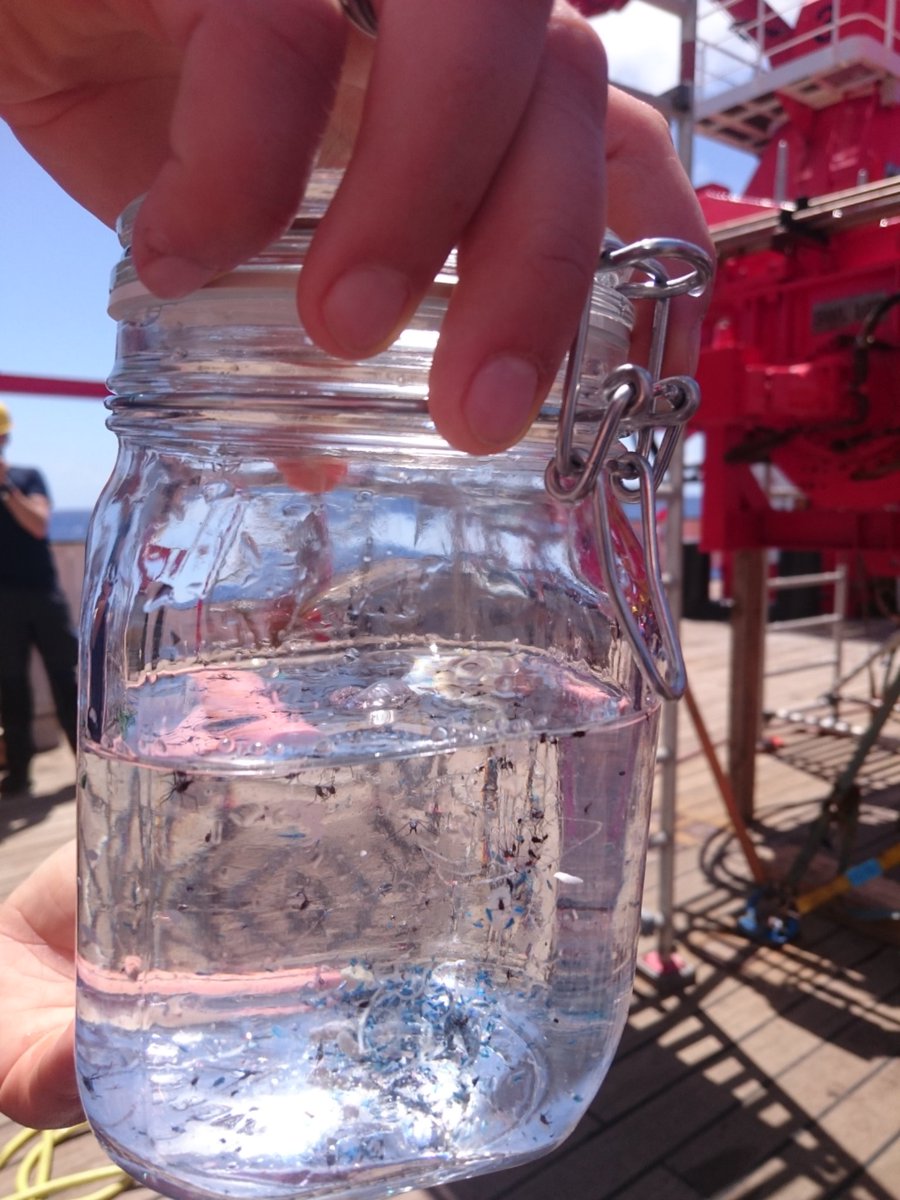 MelanieBergma18's tweet photo. #SO268: In addition to #microplastic, we get a lot of calanoid copepod crustaceans, as blue as the #ocean, some Idotea and baby flying fish and sail jellies in our samples taken by the neuston catamaran
#Microfate @AWI_Media https://t.co/DNugfMN943