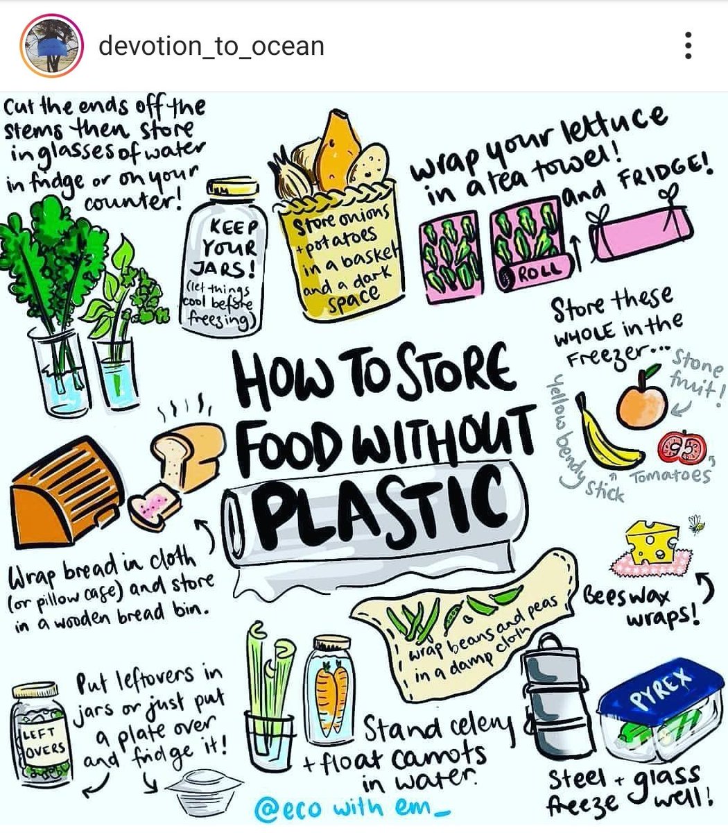 DevotionToOcean tweet media