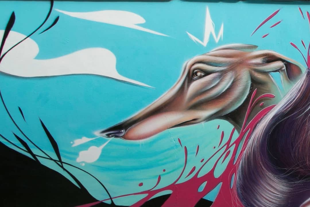 JERONI MIRA, COL·LEGI LA SALLE, INCA 

👉Més info a:
👇👇👇👇👇👇👇👇👇👇👇👇👇
m.facebook.com/story.php?stor…