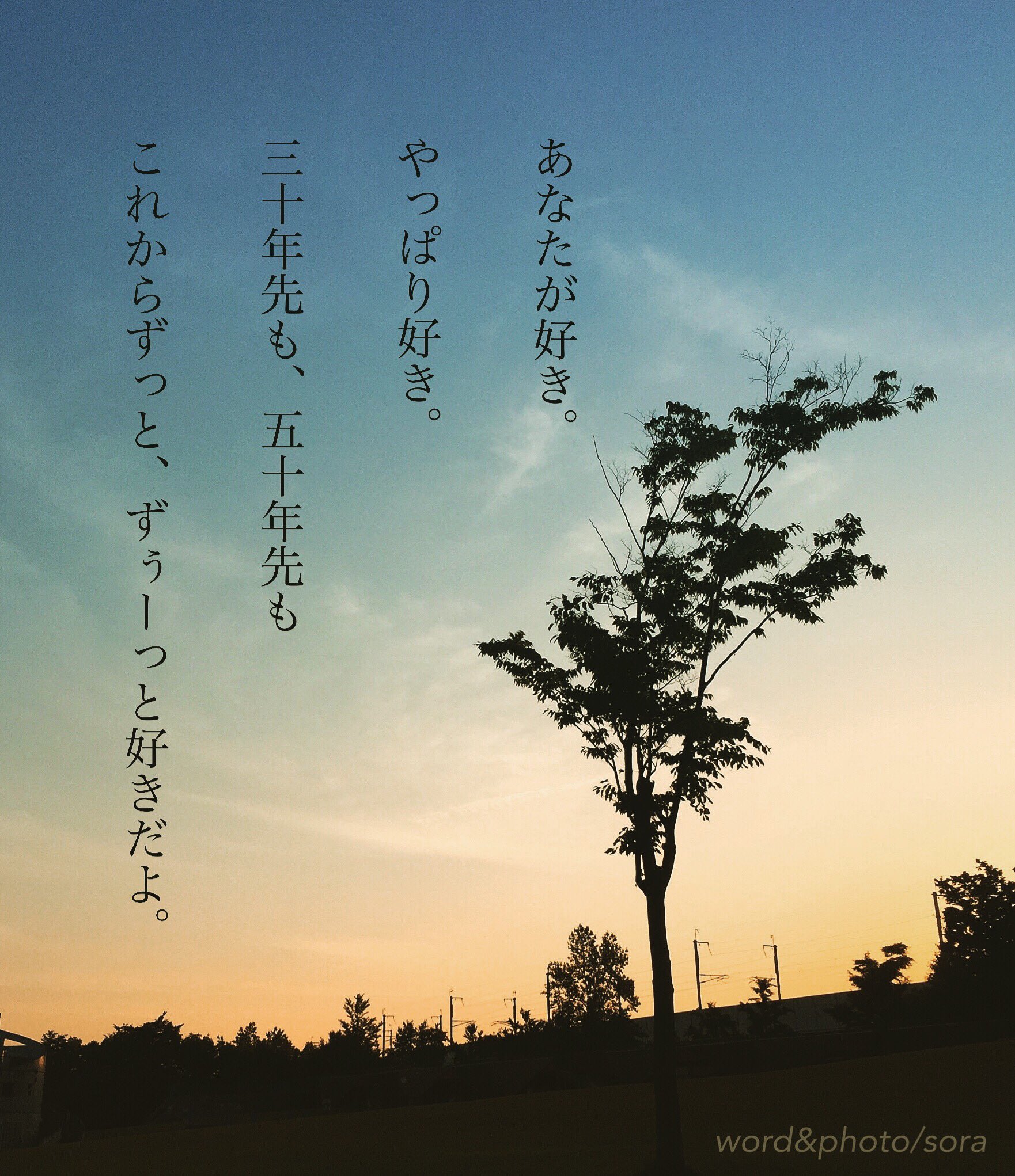 ソラ 私の 好き の原点は あなたと出会った あの日だから 好き ずっと好き 原点 大切 暗号 特別な人へ 空 ソラ ソラからのラブレター Sora 恋愛ポエム メッセージ 恋愛 恋 Poem ポエム 言葉 名言 恋詩 詩 恋空 T Co